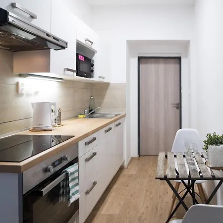 Haas Apartments Downtown With Parking Brno Exterior photo
