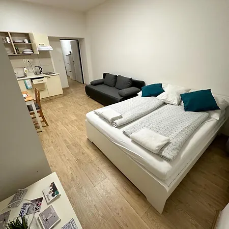 Haas Apartments Downtown With Parking Brno Exterior photo