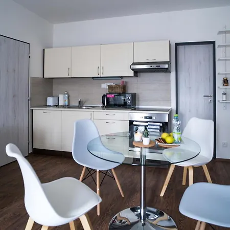 Haas Apartments Downtown With Parking Brno Room photo