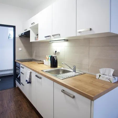 Haas Apartments Downtown With Parking Brno Exterior photo