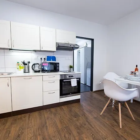 Haas Apartments Downtown With Parking Brno Exterior photo