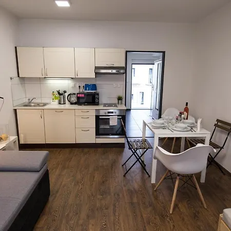 Haas Apartments Downtown With Parking Brno Exterior photo