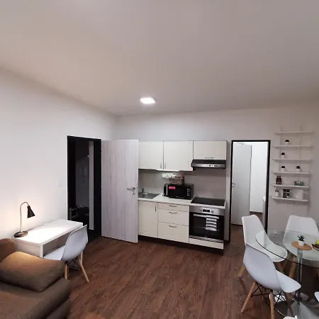 Haas Apartments Downtown With Parking Brno Exterior photo