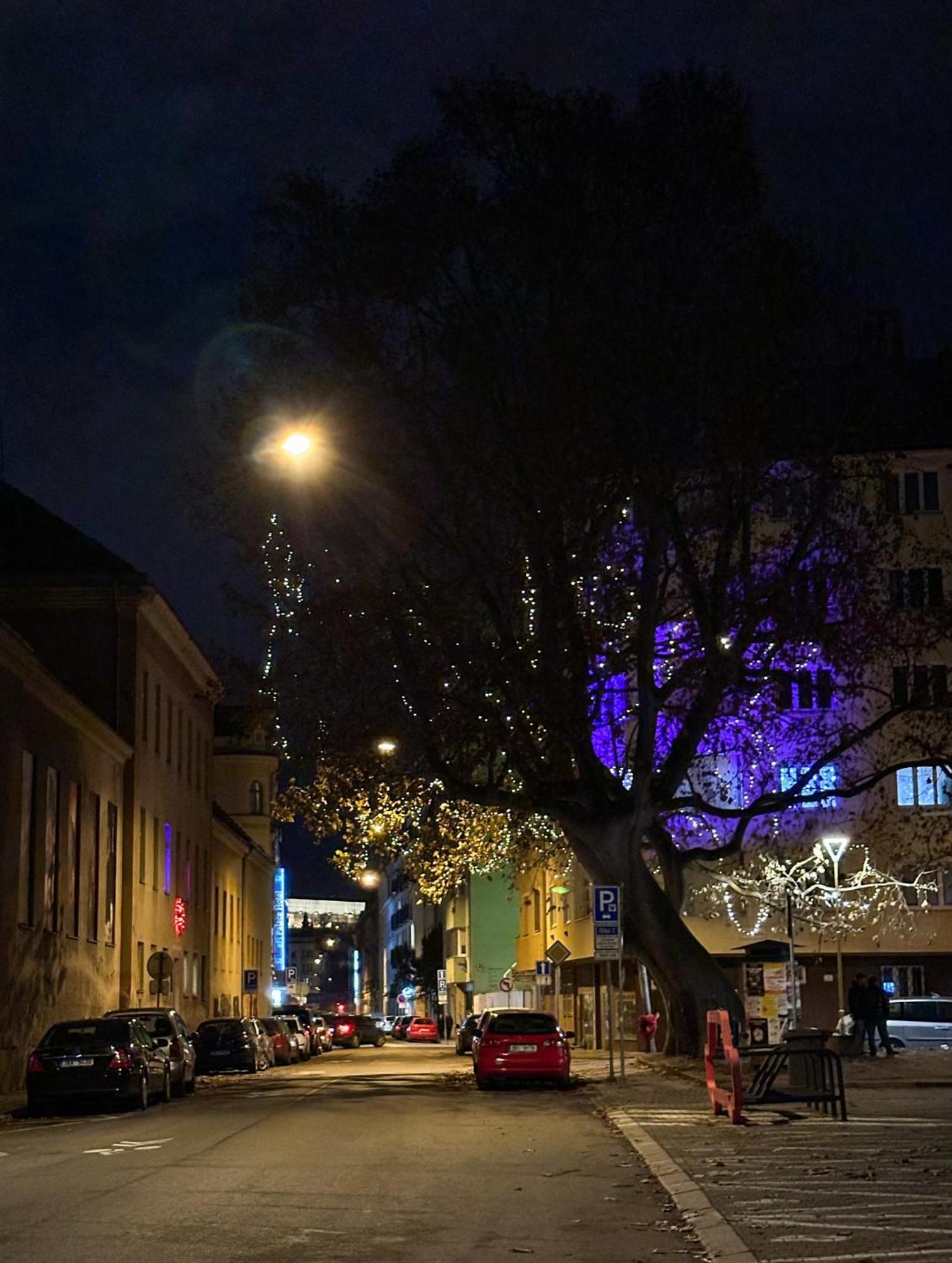 Apartment Haas Downtown With Parking Brno