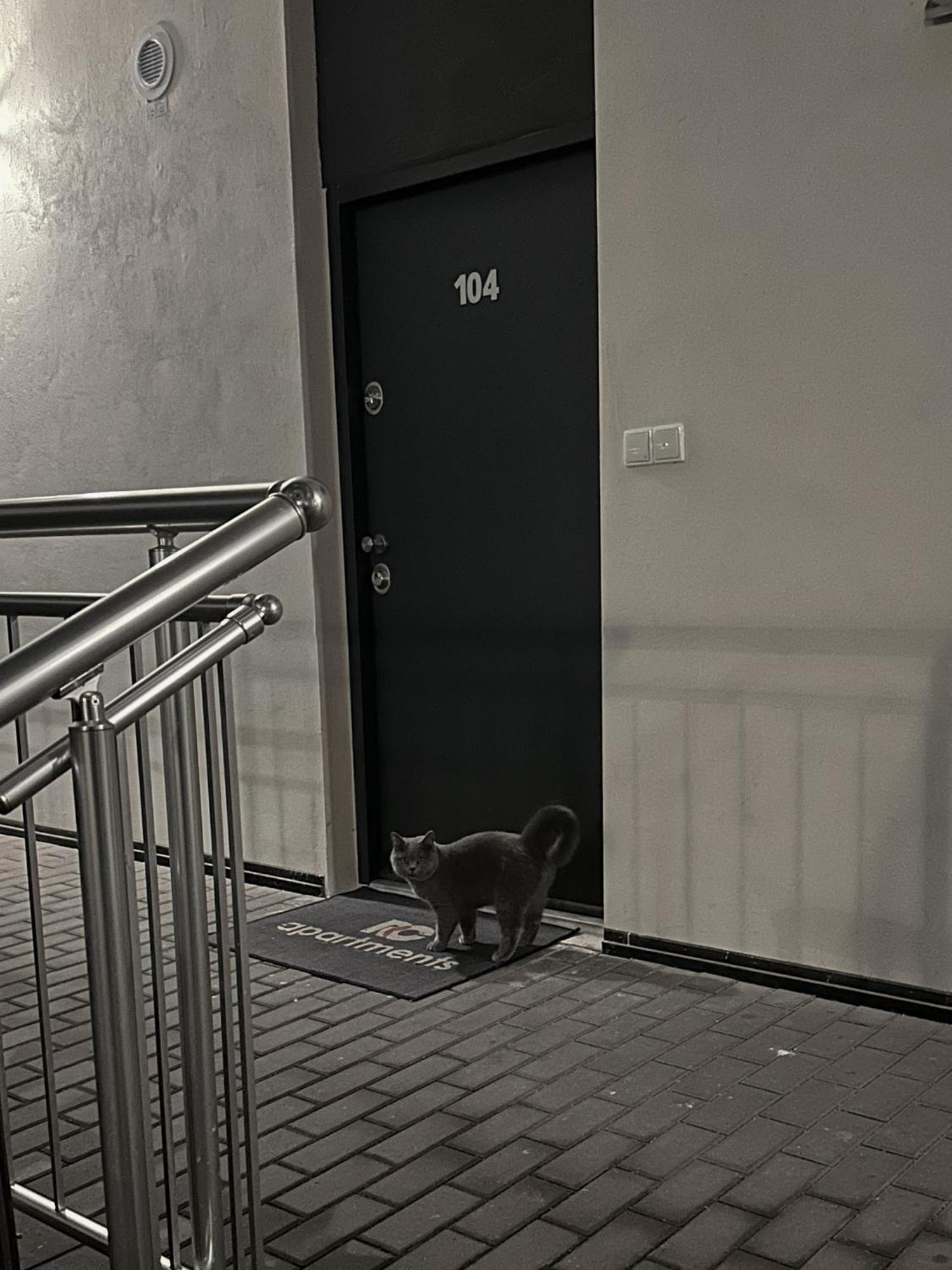 Apartment Haas Downtown With Parking Brno